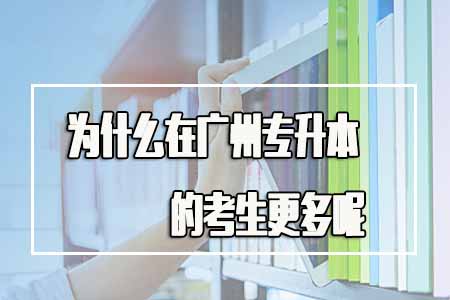 为什么在广州专升本的考生更多呢？盲目报考吗？