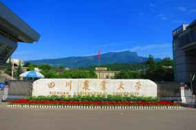 四川农业大学2021年成人高等教育招生简章