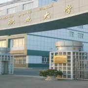 新疆职业大学单招